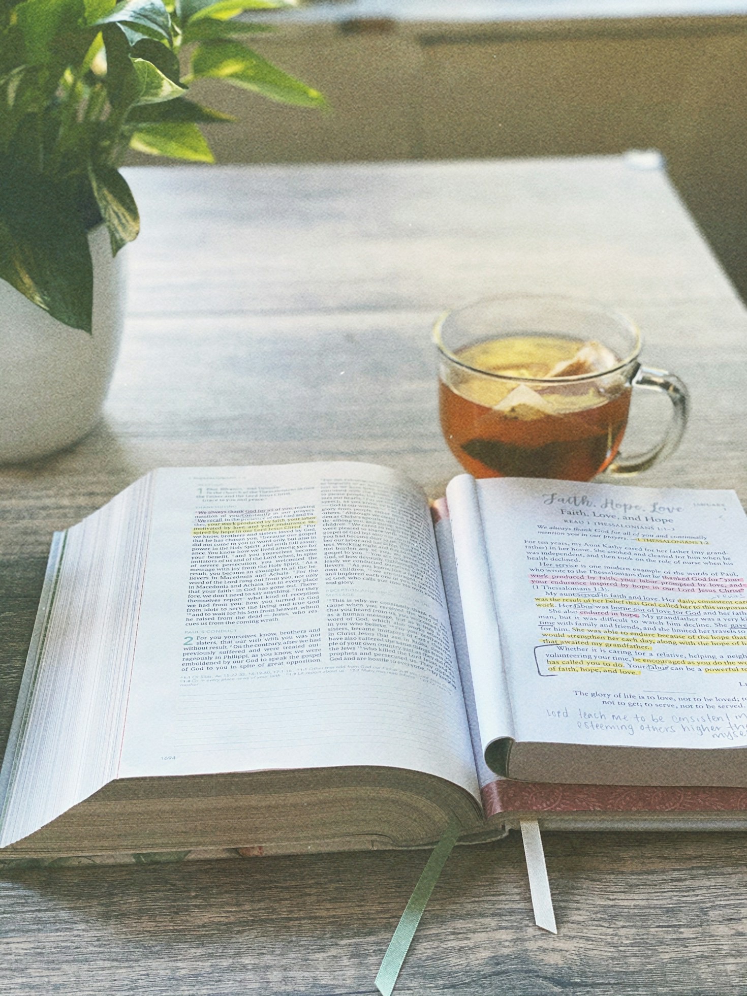 A Young Woman’s Guide to Embracing Traditional Domesticity